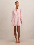 Thalia Embroidered Skater Mini Dress